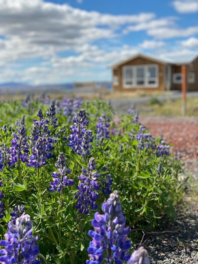 Blue View Cabin 6A With Private Hot Tub Рейкгольт Екстер'єр фото